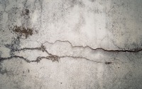 Бетон, стена, трещина, мох, crack in time, fancq, 2560x1600